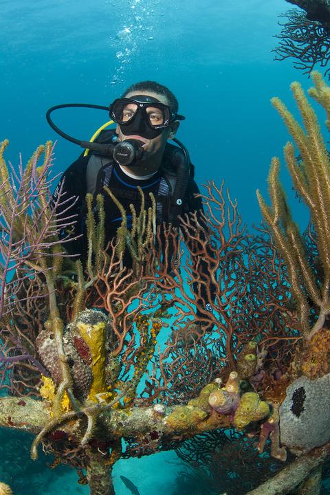 Pacific Ocean Scuba Diving Tour Panama